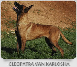 Cleopatra Van Karlosha