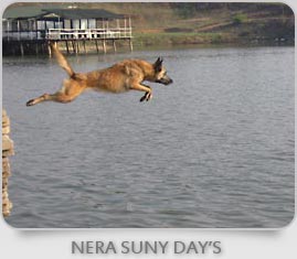 Nera Suny Day's