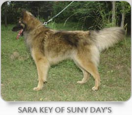 Sara Key Suny Day's